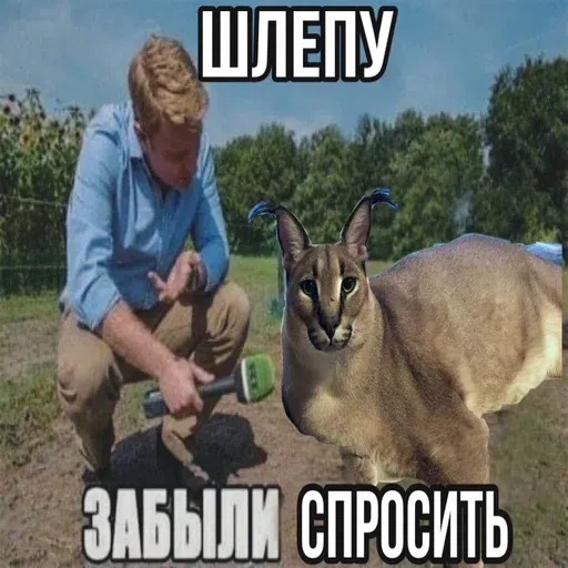 шлёпанцы - Sticker 11