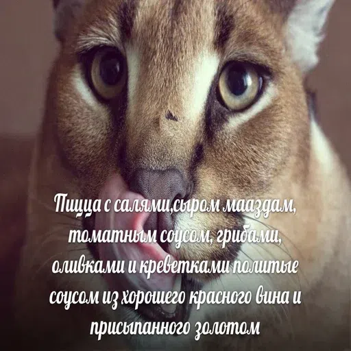 шлёпанцы - Sticker 25