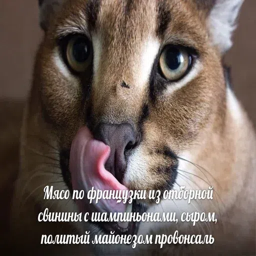 шлёпанцы - Sticker 24