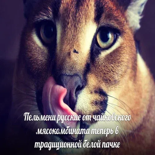 шлёпанцы - Sticker 23
