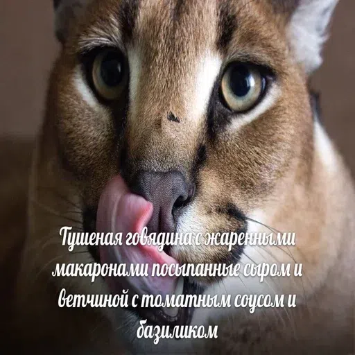 шлёпанцы - Sticker 22