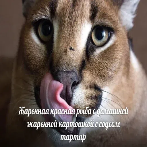 шлёпанцы - Sticker 19