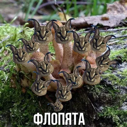 шлёпанцы - Sticker 29