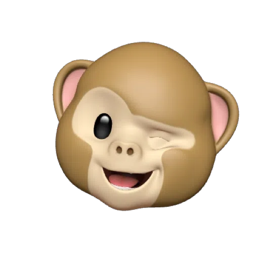 MONKEY MONKEY  - Sticker 10