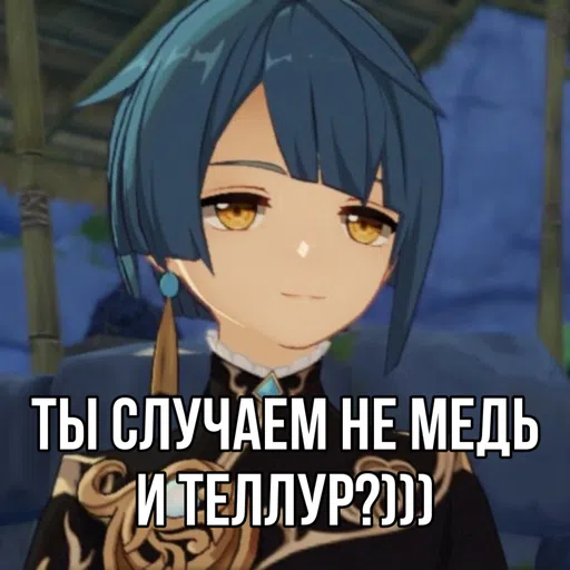 genshin но не impact - Sticker 19
