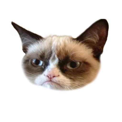 Telegram Masks - Sticker 10