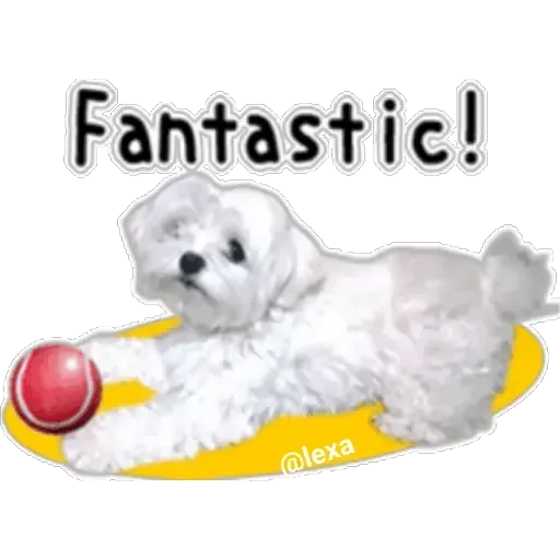 cartoon99 - Sticker 14