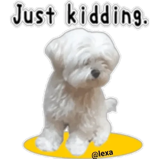 cartoon99 - Sticker 20