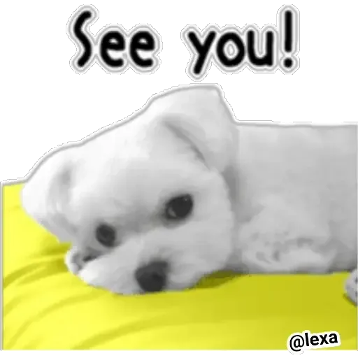 cartoon99 - Sticker 25