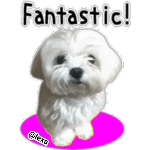 cartoon99 - Sticker 27