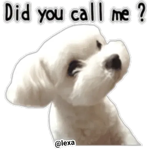 cartoon99 - Sticker 13