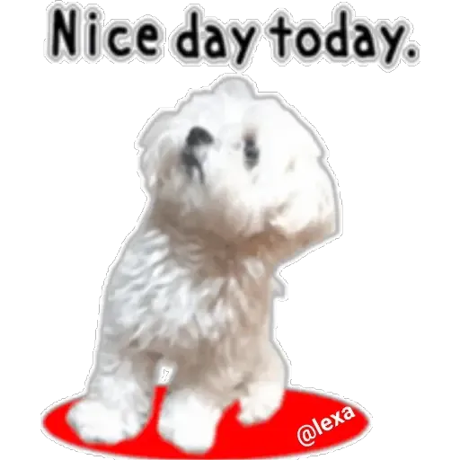 cartoon99 - Sticker 24