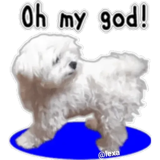 cartoon99 - Sticker 29