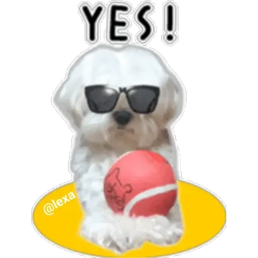cartoon99 - Sticker 12