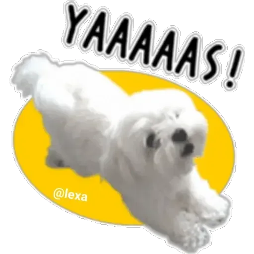 cartoon99 - Sticker 17
