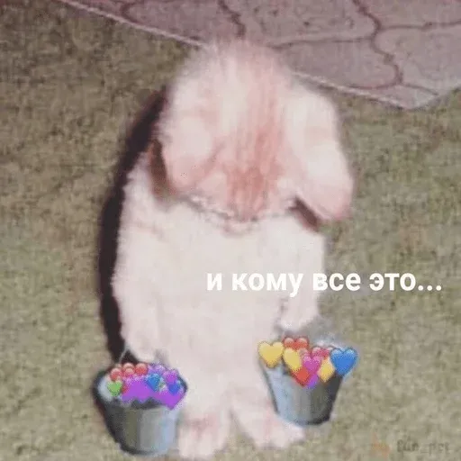 хеерт - Sticker 12