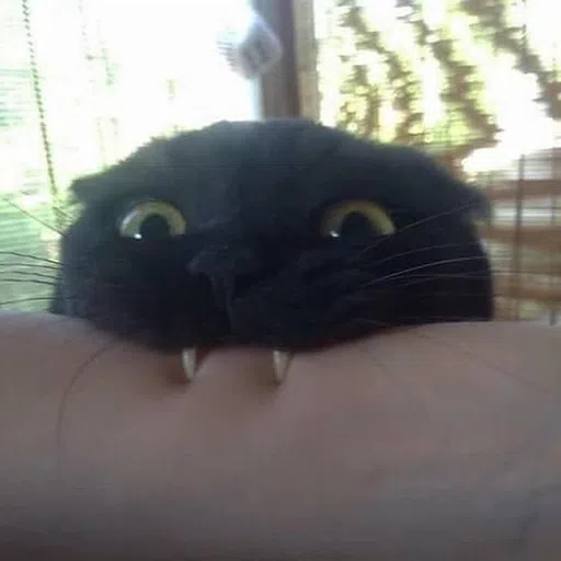 Black Cat 2.0 - Sticker 23