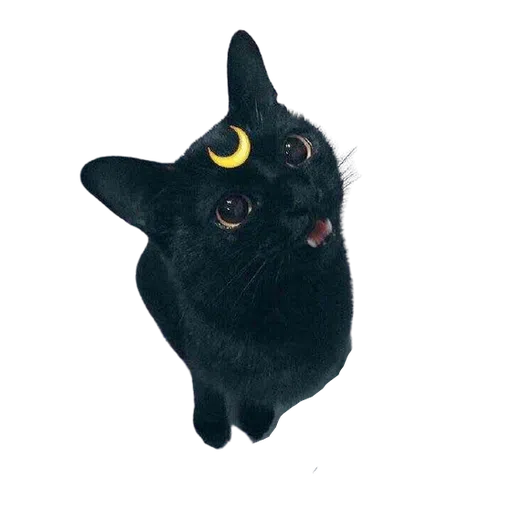 Black Cat 2.0 - Sticker 15