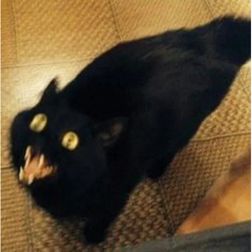 Black Cat 2.0 - Sticker 20
