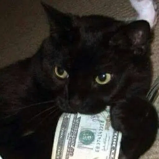 Black Cat 2.0 - Sticker 24