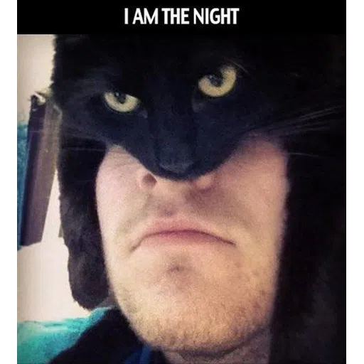 Black Cat 2.0 - Sticker 21