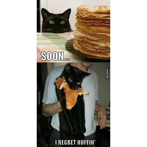 Black Cat 2.0 - Sticker 25