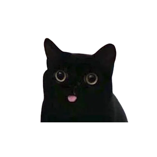 Black Cat 2.0 - Sticker 14