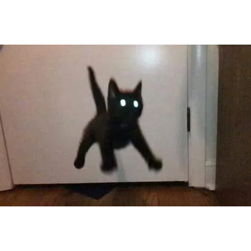 Black Cat 2.0 - Sticker 22