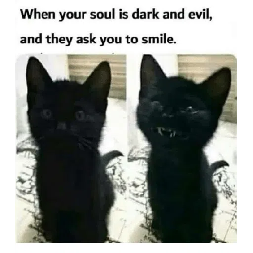 Black Cat 2.0 - Sticker 9