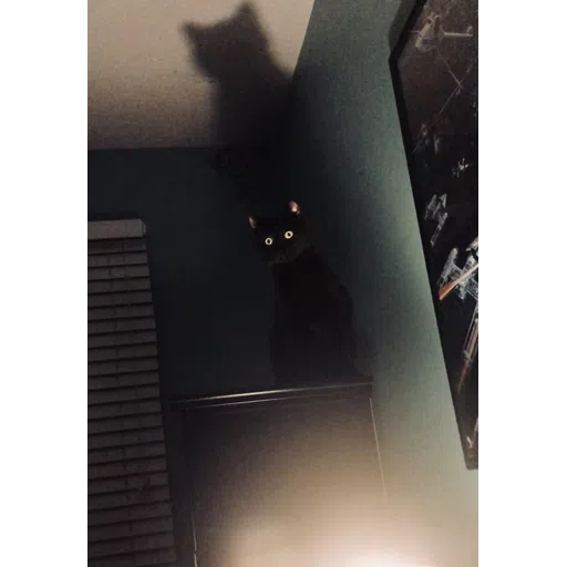 Black Cat 2.0 - Sticker 30
