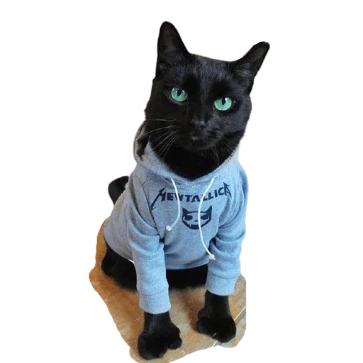 Black Cat 2.0 - Sticker 11