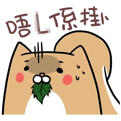 Squirrel - Sticker 12