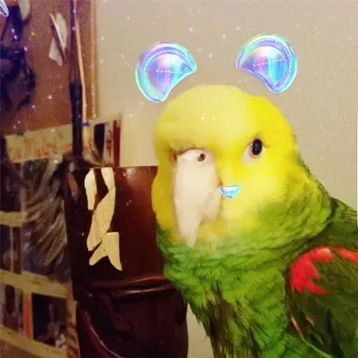 Bird 1 - Sticker 17