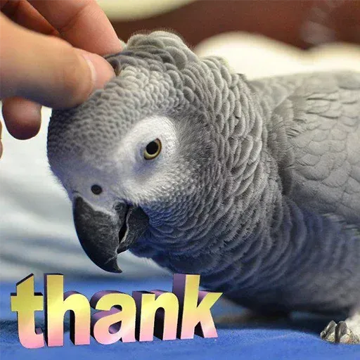 Bird 1 - Sticker 14