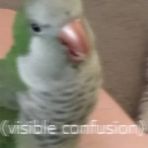 Bird 1 - Sticker 9