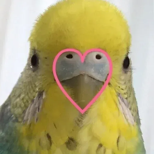 Bird 1 - Sticker 19
