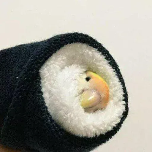Bird 1 - Sticker 28