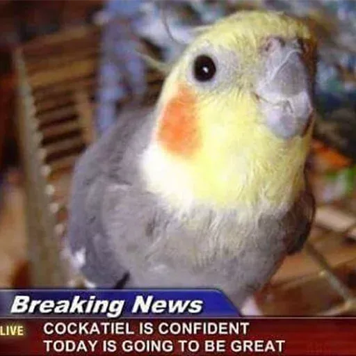 Bird 1 - Sticker 23