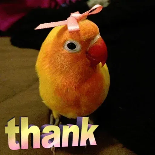 Bird 1 - Sticker 13