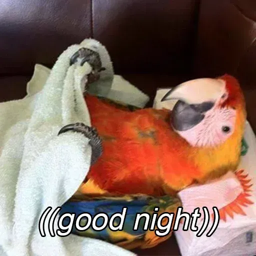 Bird 1 - Sticker 26
