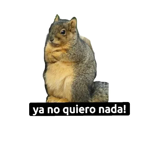 kruger - Sticker 9