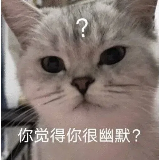 Meow meme - Sticker 23