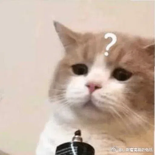 Meow meme - Sticker 11