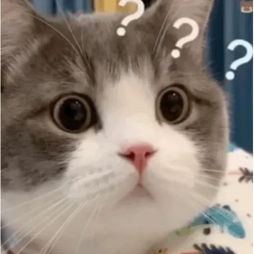 Meow meme - Sticker 18