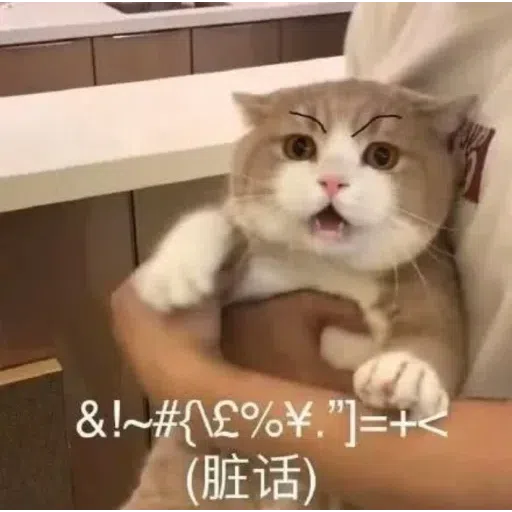 Meow meme - Sticker 15