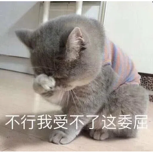 Meow meme - Sticker 25