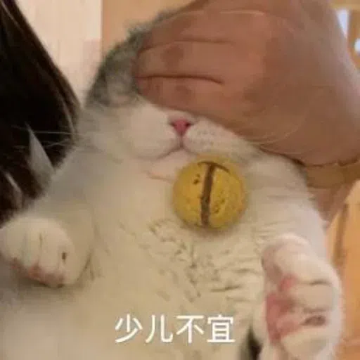Meow meme - Sticker 26