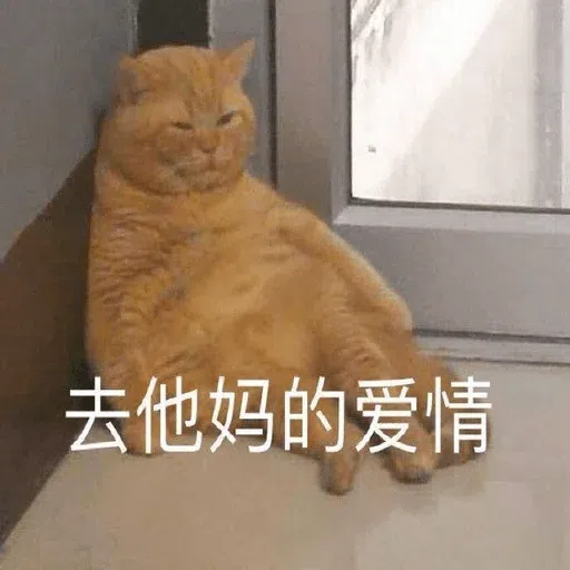 Meow meme - Sticker 9