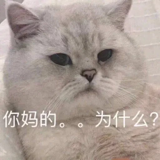 Meow meme - Sticker 22