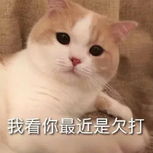 Meow meme - Sticker 28